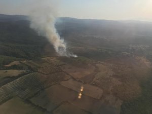 Bergama’daki orman yangını kontrol altına alındı