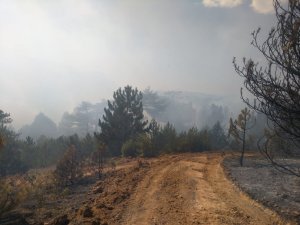 Kütahya’daki ikinci orman yangını sürüyor