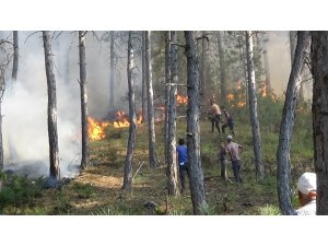 Uşak’ta çıkan orman yangını kontrol altına alındı