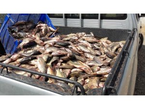 Yasa dışı avlanan 400 kilo balık ele geçirildi