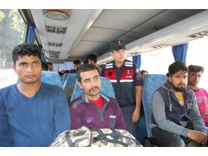 Tekirdağ’da 36 kaçak göçmen yakalandı