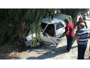Söke’de ağaca çarpan otomobilin sürücüsü ağır yaralandı