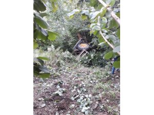 Gümeli’de traktör kazası: 1 yaralı