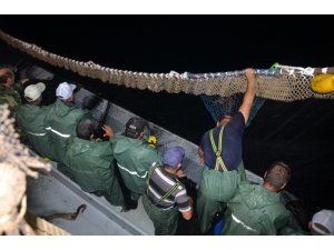 Karadenizli balıkçılar ‘Vira Bismillah’ dedi, denizden istavrit çıktı
