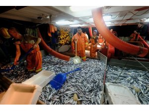 Balık avı sezonu açıldı, Başkan Günel balıkçılarla birlikte “ Rastgele “ dedi