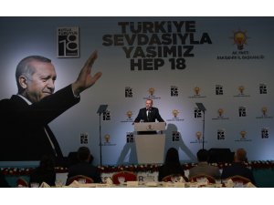 Cumhurbaşkanı Erdoğan: “Faizler düştükçe enflasyon da düşecek”
