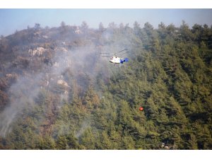 Bodrum’daki orman yangını güçlükle kontrol altına aldı