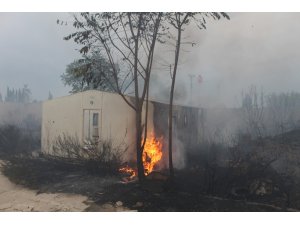 Antalya’da ormanlık alanda çıkan yangın korkuttu