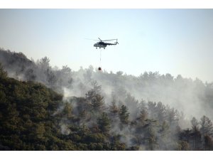 Tarım ve Orman Bakanlığı bugün çıkan yangınlarla ilgili açıklama yaptı