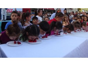 Bursa’da ilki düzenlenen Çilek Festivali yoğun ilgi gördü