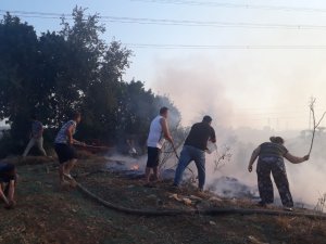 Antalya’da makilik alanda yangın