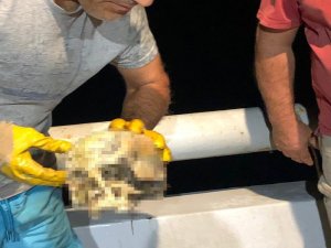 Denizin 2 mil açığında insan kafatası bulundu