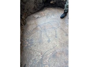 Mardin’de 1500 yıllık mozaik, kaçak kazıda ortaya çıktı