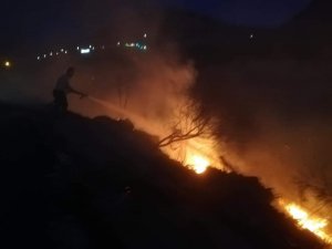Samandağ’da bitki örtüsü yangını