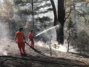 Kemer’deki orman yangını kontrol altına alındı