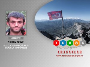 Siirt'te PKK'ya ağır darbe... Gri listedeki terörist öldürüldü!