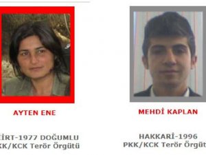 Tunceli'de PKK operasyonu... Başına 4 milyon TL ödül konulan terörist öldürüldü