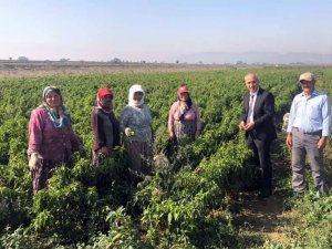 Başkan Aydın’dan çiftçi kadınlara sürpriz ziyaret