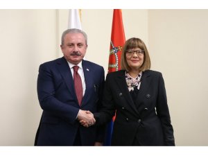 Şentop, Sırbistan Ulusal Meclis Başkanı Gojkoviç ile görüştü