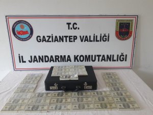 Gaziantep’te piyasaya sahte dolar süren 2 kişi yakalandı