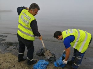 Aliağa’da deniz temizlik çalışmaları sürüyor