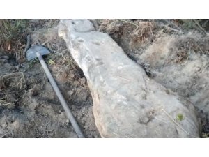 Ukrayna’da Bronz Dönemi’ne ait oymalı taş bulundu