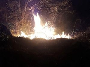 Düzce’deki orman yangınında 10 dönüm arazi küle döndü