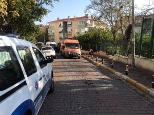 Bakırköy’de ölü bulunan 1’i çocuk 3 kişinin cesetleri Adli Tıp Kurumunda