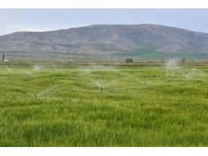 Aksaray’da 129 bin 500 dekar tarım arazisi sulandı