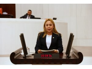MHP Milletvekili Esin Kara, mali reform istedi