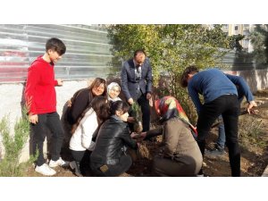 Öğrenciler okul bahçelerine fidan dikti