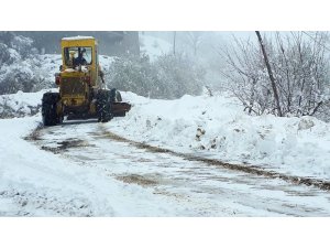 300 kırsal mahalle yolu kardan açıldı