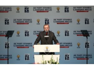 Cumhurbaşkanı Erdoğan: "İnsan gönlünü kıranların biz de partideki görevleriyle ilgili kalemini kırarız"