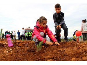 Muğla ve Aydın’da 2019’da 1 milyon fidan toprakla buluştu