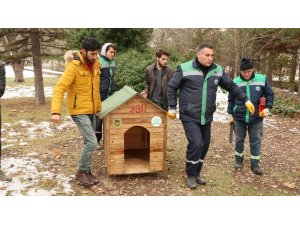 Odunpazarı Belediyesi ‘Sokaktaki dostlar’ için kulübe yaptı