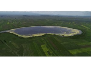 Türkiye’nin 13. Ramsar alanı Kuyucuk Gölü’ne can suyu