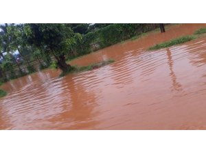 Uganda’da sel ve heyelanda 2 haftada 30 kişi öldü