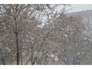 Ağrı’da beklenen kar yağışı başladı