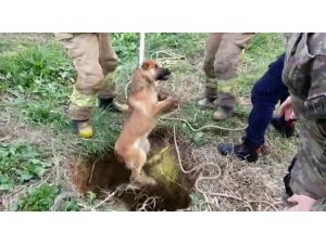 Kuyuya düşen köpeği kurtarma operasyonu kamerada