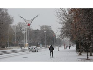 Kar Erzincan’ı beyaza bürüdü