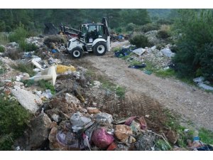 Ormanda çıkan 65 ton çöp görenleri şok etti