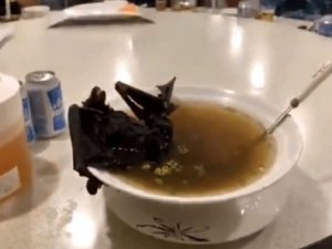 Çin Wuhan'da ortaya çıkan korona virüsünün sebebi yarasa çorbası mı?