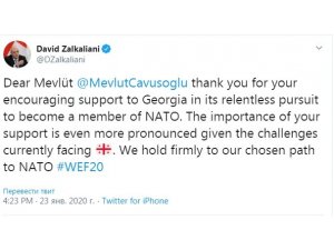Gürcistan Dışişleri Bakanı, Çavuşoğlu’na teşekkür etti