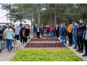 6 ülkeden çevreci öğrenciler Başakşehir’i ziyaret etti