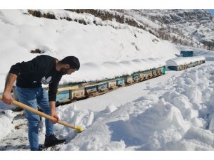 Şırnak’ta arıcıların zorlu kış mesaisi devam ediyor