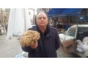 Kış günlerinin şifa kaynağı Akbaşlı otu pazar tezgahında