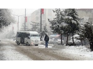 Ahlat’ta yoğun kar yağışı