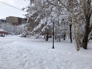 Ağrı’da kar yağışı ve soğuk hava hayatı olumsuz etkiliyor