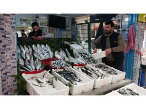 Balık cenneti Karadeniz’de en fazla bu balıklar talep görüyor