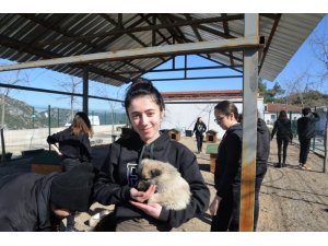 Lise öğrencilerinden hayvan barınağına ziyaret